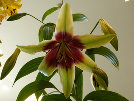 Foto: Dr. Peter Müller